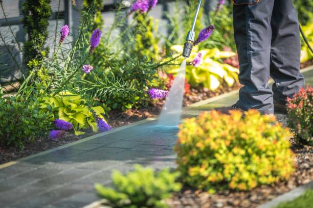 Charlotte, TX  Pressure Washing Services Company